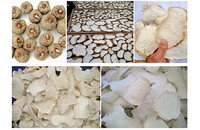 Poudre de konjac de haute qualité de gelée instantanée de glucomannane pour additifs alimentaires, prix du fabricant en gros