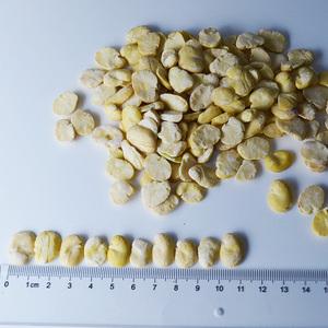 Chất lượng cao chia rộng đậu bóc vỏ fava đậu để bán - Product Image 6