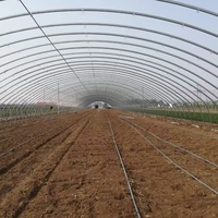 Serre tunnel agricole à portée unique grande taille pour culture de légumes, à faible coût, avec couverture en plaques PC, marque YanPeng - Offre Spéciale