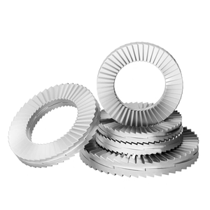 M3 M4 M5 M6 M8 M10 M12 M16 M20 304 thép không gỉ khóa máy giặt in xiên khóa máy giặt - Product Image 3