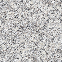 SGZ Moderne G602 Granit Gris-Blanc Poli Écologique Durable Grande Dalle Découpée sur Mesure Revêtement Mural Extérieur Pavage de Cuisine Chine