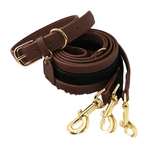 Collar y Correa para Perro de Cuero PU con Logotipo Personalizado, Ajustable, de Lujo, Duradero y a la Moda, OEM - Product Image 1
