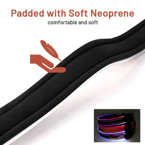 <span class=keywords><strong>Collar</strong></span> de perro LED recargable por USB 2025, diseño personalizado, resistente al agua, seguridad nocturna, resplandor intermitente, luz oscura, cinta con patrón de animales - Product Image 5