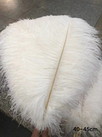 Plumes d'autruche blanches de 40-45 cm (16-18 pouces) parfaites pour l'artisanat, les décorations de carnaval, les centres de table et les garnitures de vases