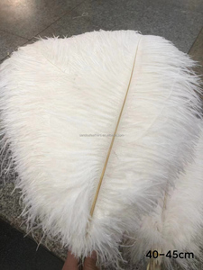 Plumas de Avestruz Blancas de 40-45 cm, 16-18 Pulgadas, Perfectas para Manualidades, Decoraciones de Carnaval, Centros de Mesa y Rellenos de Jarrones - Product Image 5