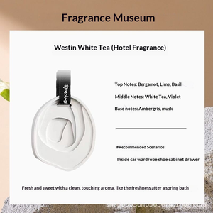 Al por mayor Placa de yeso para aromaterapia DIY, Piedra difusora de fragancia para colgante, con fragancia duradera, de yeso aromatizado con aceite - Product Image 5