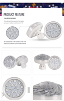 Cabochon Fairground RVB Attraktion Fahrten Schausteller LED Licht