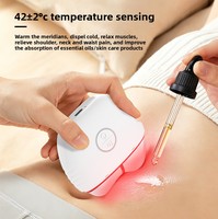 Appareil de massage facial et corporel électrique OEM, planche de raclage chauffante Gua Sha, machine de lifting du visage, soin de la peau du cou et du corps, microcourant, masseur facial Gua Sha