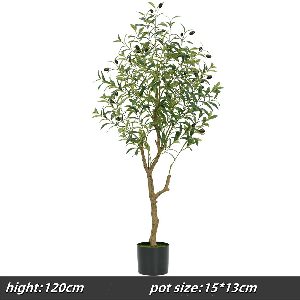 120cm olive tree, type c