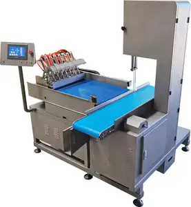 Commercial Electric Bone Sawing Machine Cutter Meat Saw Meat Steak Cutting Machine