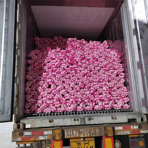 Ail blanc frais 6,0 cm Fournisseur WOHUA en Chine <span class=keywords><strong>Prix</strong></span> de gros bas Ail frais pur normal - Product Image 6