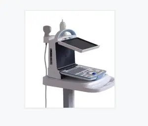 RUIHUA manufacturer veterinary ultrasound machine vet ultrasonic scanner RH-300A model