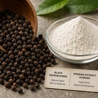 Natuurlijk Zwarte Peper Kruidenextract Poeder Voedingskwaliteit 95% 98% Piperine HPLC Gecertificeerd Oplosmiddelextractie