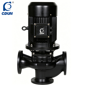 ปั๊มหอยโข่งแนวตั้งแบบอินไลน์ TD100-48/2 22 กิโลวัตต์ ใบพัดเหล็กหล่อ มอเตอร์ทองแดง 2 โพล ท่อส่งสูง แบบ OEM - Product Image 4
