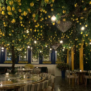 Nouvelle Arrivée Guirlande Artificielle de Citrons Verts Style Italien Thème Citron Décoration Hôtelière Décoration de Plafond - Product Image 2