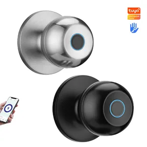 Akıllı kilit Tuya Wifi anahtarsız biyometrik yuvarlak güvenlik parmak izi akıllı kilit App ile biyometrik kapı topuzu