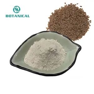Organic Bulk Natural Psyllium Seed Powder 99% Psyllium Husk Powder