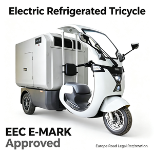 Tricycle électrique EEC Emark portable avec <span class=keywords><strong>conteneur</strong></span> réfrigéré <span class=keywords><strong>solaire</strong></span> de 1000L pour camionnette, tricycle avec contrôleur de température LED - Product Image 1