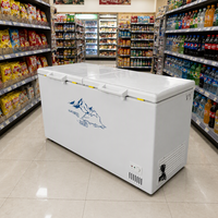 Congélateur coffre grande capacité à double porte et double couvercle, blanc, OEM ODM, marque privée, en gros pour magasins de détail et supermarchés