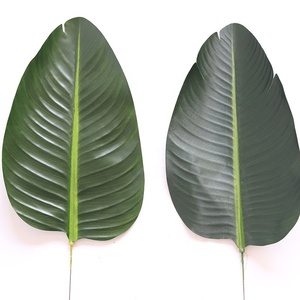 Cây Cảnh Nhân Tạo Cây Chuối Du Lịch Cây Nhân Tạo Trang Trí Nhà Cửa - Product Image 4