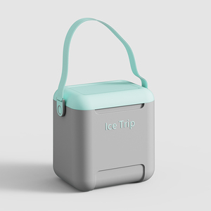 Bière Canette Boire <span class=keywords><strong>Glacière</strong></span> En Plastique Mini 10L Carry Food Cooler Box <span class=keywords><strong>igloo</strong></span> cooler - Product Image 1