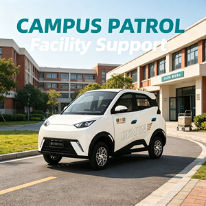 Nuevo Mini Auto Eléctrico Chino 2026, Vehículo Eléctrico de Baja Velocidad de Cuatro Ruedas y 5 Asientos, Auto para Viajes Diarios - Product Image 6