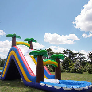 Toboggan gonflable extérieur d'arbre de <span class=keywords><strong>CoCo</strong></span> avec la petite piscine et le système de jet pour le matériel de PVC d'utilisation de jardin et de parc à la maison - Product Image 1