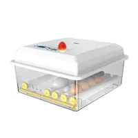 Mini incubateur automatique pour œufs de poulet, canard, chèvre, caille, affichage LED, 6 unités
