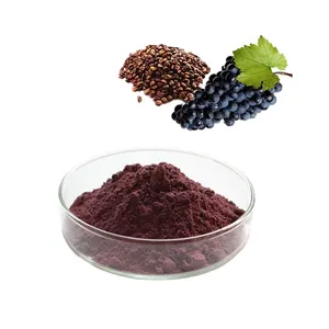 Bio lebensmittel zusatz Natürliches 95% OPC Anthocyanin pulver Organischer Trauben kernex trakt