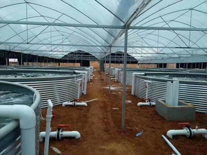 Bassin d'élevage commercial de tilapias, structure en acier galvanisé, revêtement en PVC, bassin rond pour aquaculture intensive en recirculation (<span class=keywords><strong>RAS</strong></span>) - Product Image 4