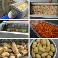 Aardappel Wasmachine Peeling Machine Aardappel Wasmachine En Dunschiller Machine
