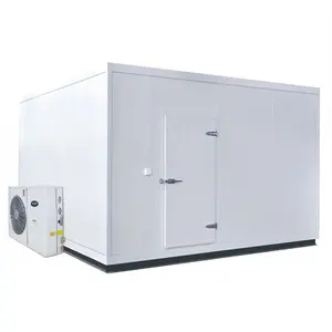 ARTECO Walk In Freezer Storage Unit Cooler Refrigerator Container 75mm 100mm PU Panel Sandwich Steel Panel Cold Room