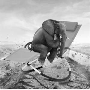 Vente en gros d'usine <span class=keywords><strong>de</strong></span> <span class=keywords><strong>salon</strong></span> orbital Teslin multicolore étanche <span class=keywords><strong>Salon</strong></span> orbital inclinable <span class=keywords><strong>pour</strong></span> <span class=keywords><strong>jardin</strong></span> extérieur - Product Image 3