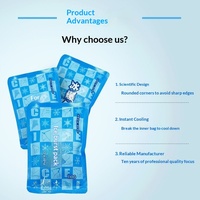 Pack de glace médical jetable non toxique CSI personnalisé avec MSDS qualifié, emballage compressif, sac de froid instantané pour