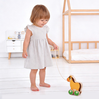 Mini cheval à pousser pour tout-petits, jouet en bois pour bébé