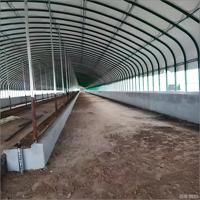 Conception de bâtiments d'élevage avicole en structure acier économique, nouvelle construction de poulaillers en acier