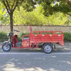 Popular 750Kg <strong>Load</strong> E Trike <strong>for</strong> Business and Family <strong>Trimoto</strong> Electric - Product Image 5