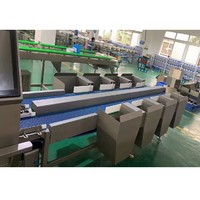 Trieuse de pesage à plusieurs niveaux, machine de pesage et de calibrage pour volailles, poulets dans les abattoirs