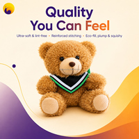 Ours en peluche de graduation personnalisé avec logo, faible MOQ, cadeau scolaire, souvenir de cérémonie, fabricant OEM ODM en gros