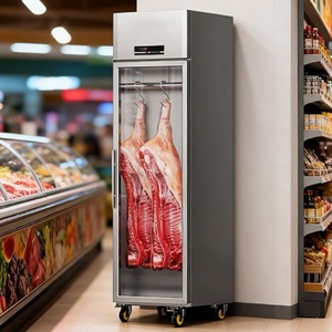 Vitrine réfrigérée pour viande de bœuf vieillie, pour épiceries haut de gamme, boucheries gastronomiques, unité de réfrigération commerciale, réfrigérateur à viande suspendue, armoire de maturation à sec - Product Image 1
