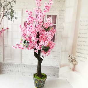 Verwandeln Sie Ihren Raum mit unseren sakura bonsai baum fr Haus und Garten
