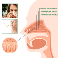 Allergie Congestion nasale et écoulement nasal Traitement nettoyant Sinusite froide Spray nasal