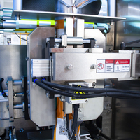 Machine à emballer de sachets préfabriqués remplissante automatique durable de jus liquide Machine à emballer de sacs