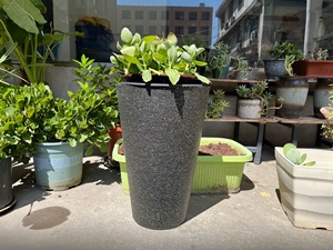 Vaso di plastica quadrato fioriera <span class=keywords><strong>da</strong></span> <span class=keywords><strong>giardino</strong></span> verticale <span class=keywords><strong>da</strong></span> esterno fornitore cinese - Product Image 3