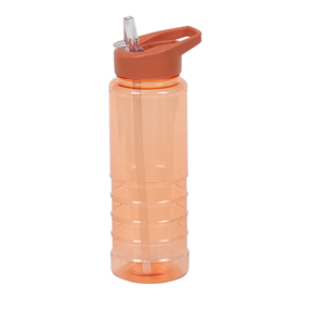 Silverjet Plastic <b>Drinking</b> Water <b>Bottle</b> 700ml With Flip <b>Straw</b> For Sport Outdoor Gym Camping Travel - Product Image 5
