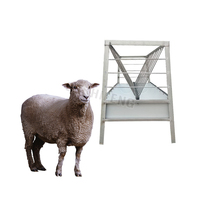 Équipement d'élevage en gros : Mangeoire automatique en fer galvanisé et acier coloré pour moutons et chèvres