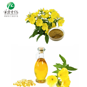 Source Factory Oenothera Biennis aceite de semilla Erythrosepala Borb polvo Extracto de onagra - Product Image 3