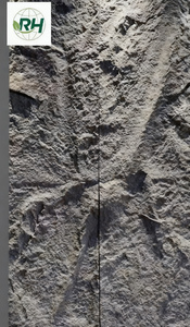 Panel de Pared de Piedra Artificial Acrílica Ligera, Resistente al Fuego, para Escuelas, Hospitales y Almacenes - Product Image 2