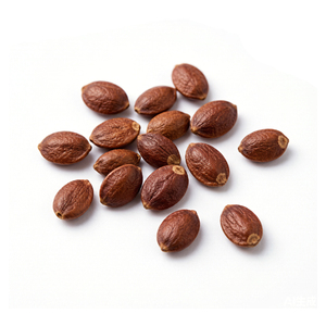 สารสกัดจากเมล็ดพุทราเปรี้ยวธรรมชาติ 1% จูจูโบไซด์ ผงสีน้ำตาล - Product Image 2