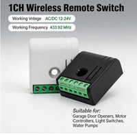 Module récepteur de relais sans fil 1 canal 433,92 MHz avec télécommande pour éclairage LED, moteur et portail (12V/24V DC)